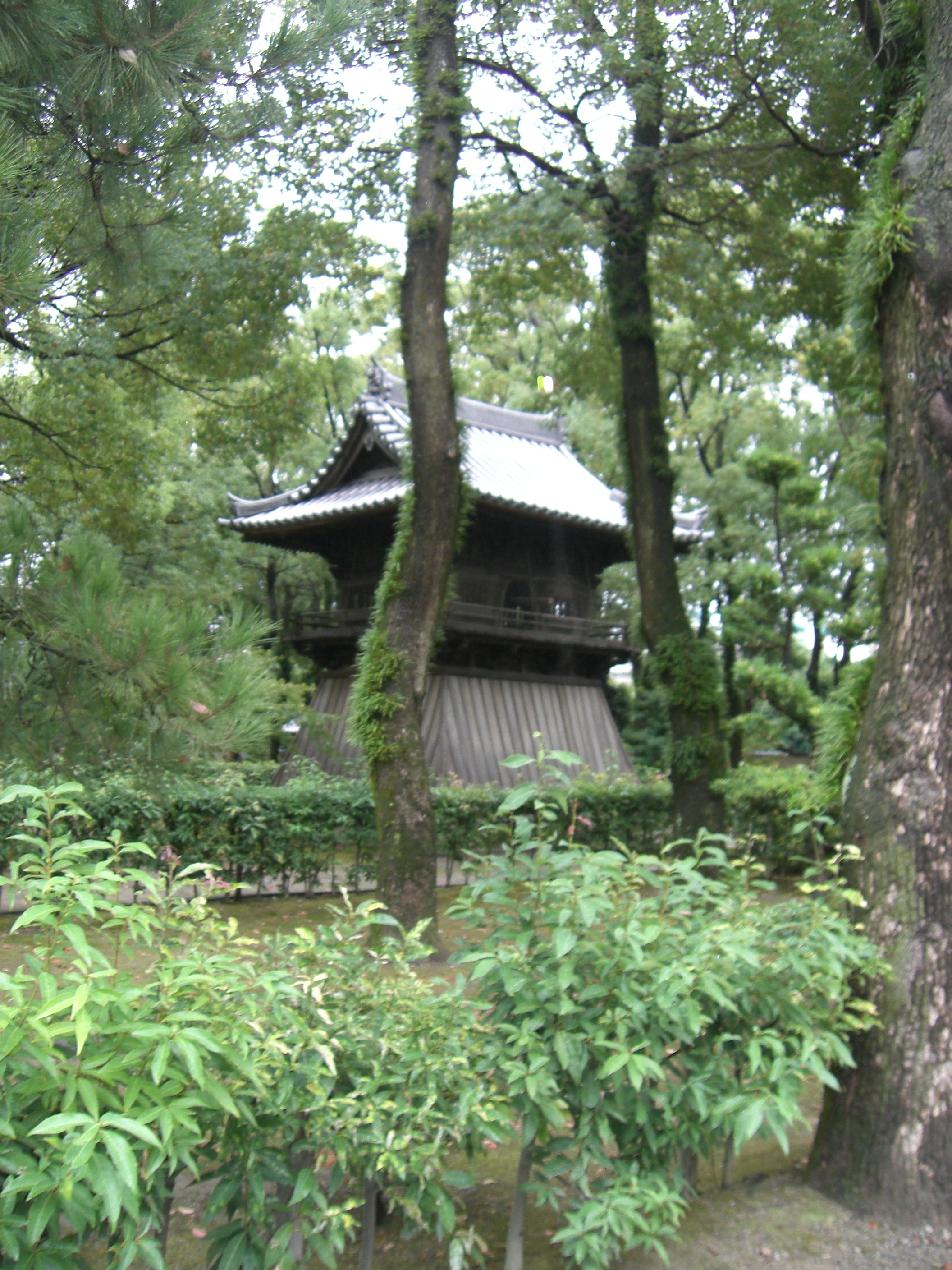 http://gokusho.info/blog/CIMG6210.JPG