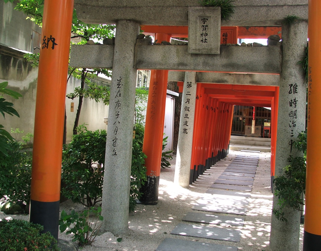 http://gokusho.info/blog/archives/masha/2011/06/29/kushidavisit-13.jpg