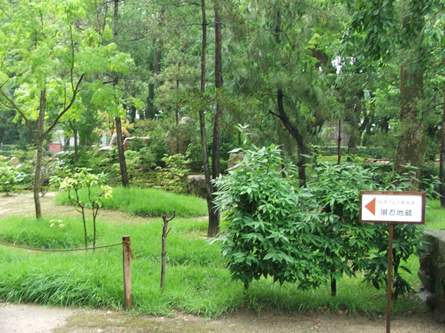 http://gokusho.info/blog/archives/masha/2011/06/30/6.30.vis2-04.jpg