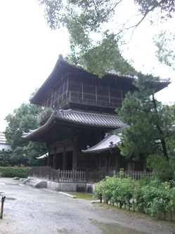 CIMG6209.JPG
