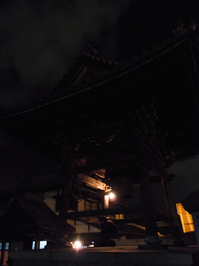 joya2010-04.jpg