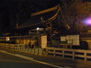 joya2010-11.jpg
