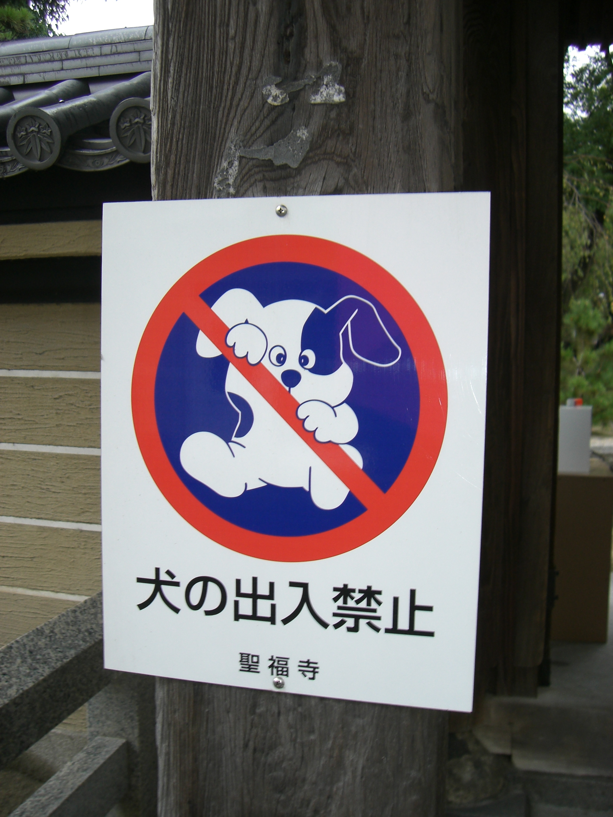 http://gokusho.info/blog/jasmin/CIMG6206.JPG