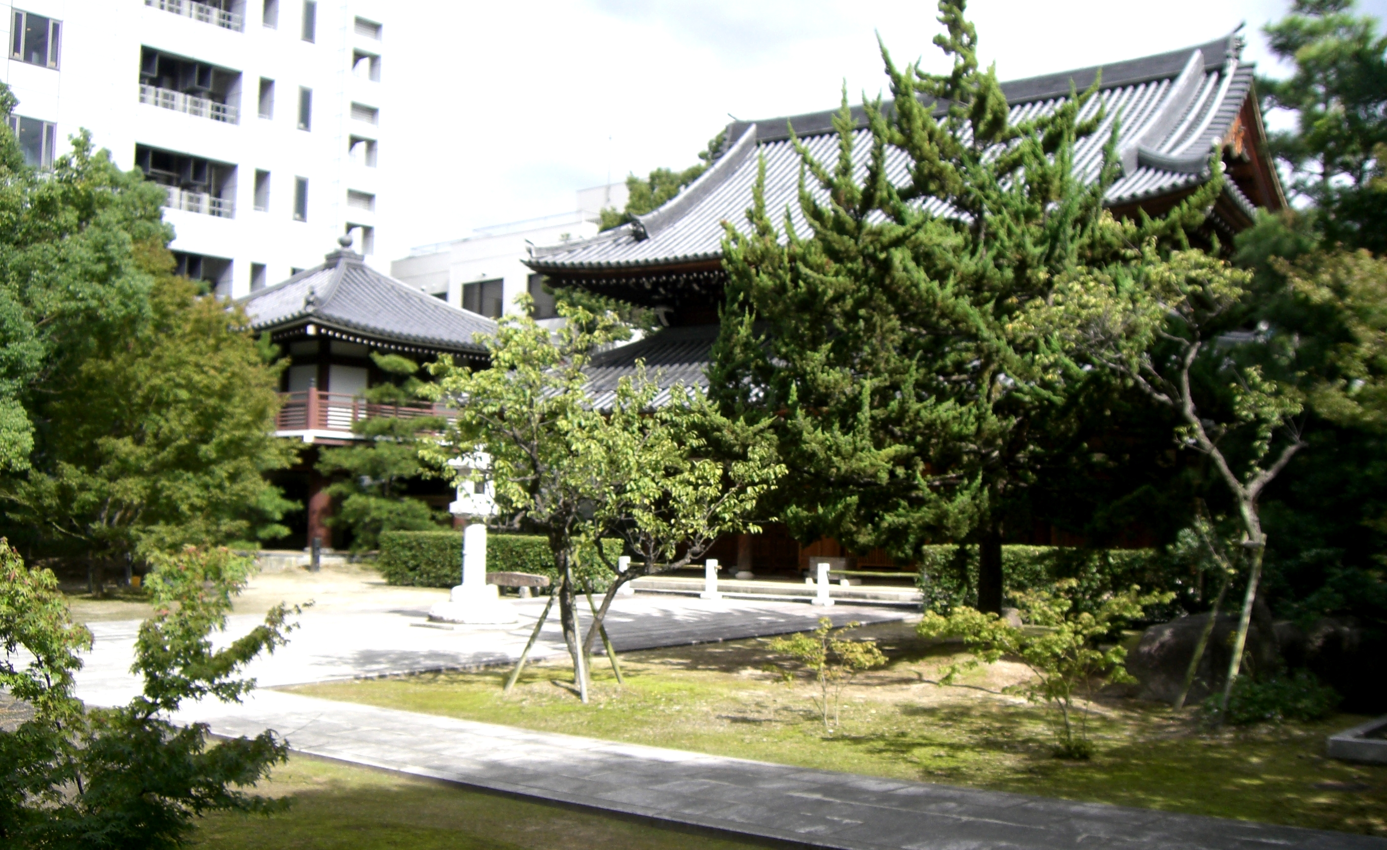 http://gokusho.info/blog/jasmin/CIMG6248.JPG