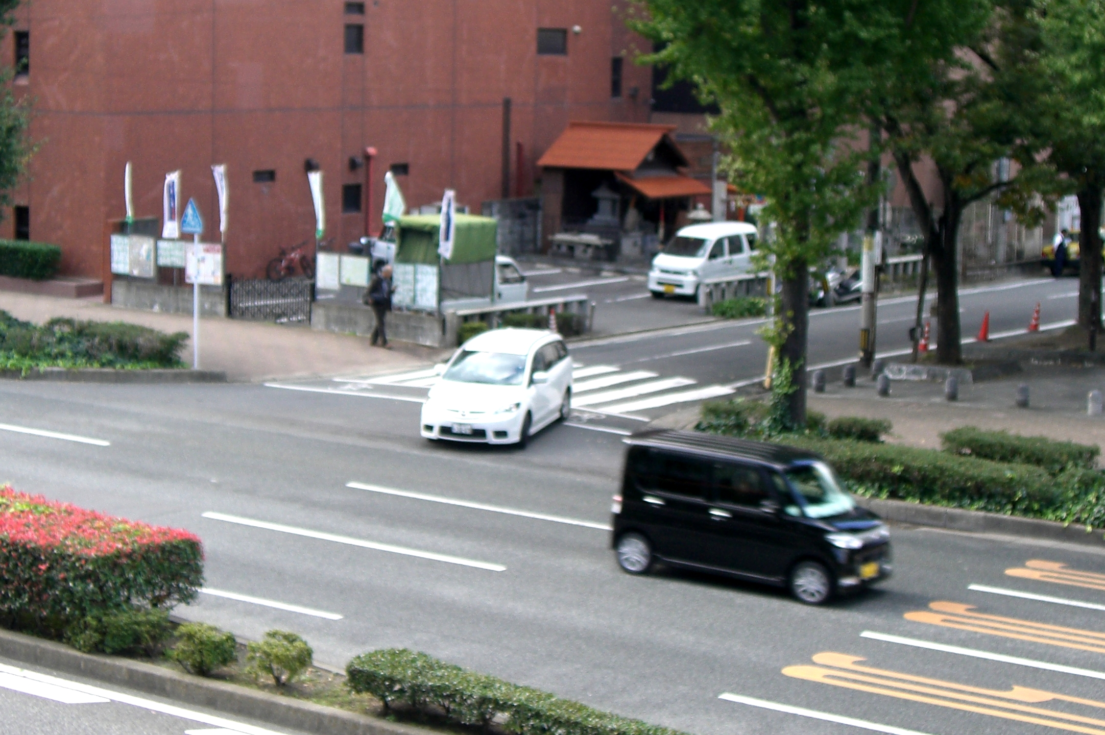 http://gokusho.info/blog/jasmin/CIMG6378.JPG