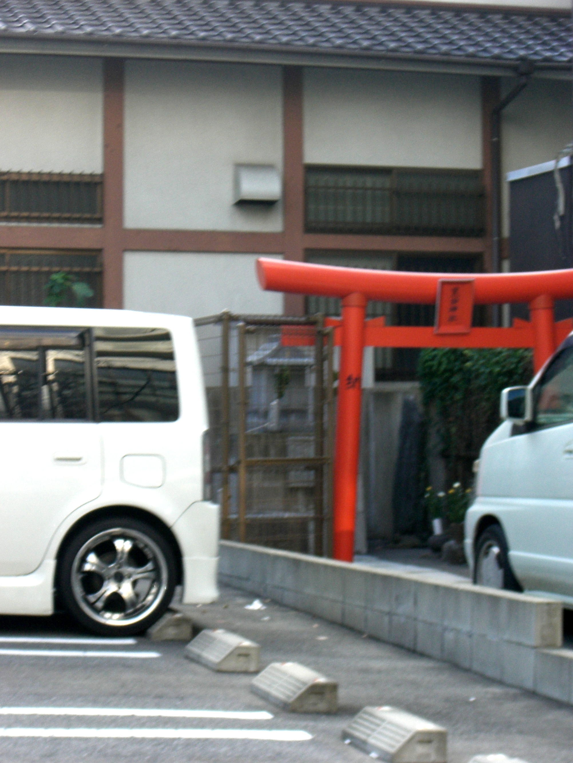 http://gokusho.info/blog/jasmin/CIMG6461.JPG