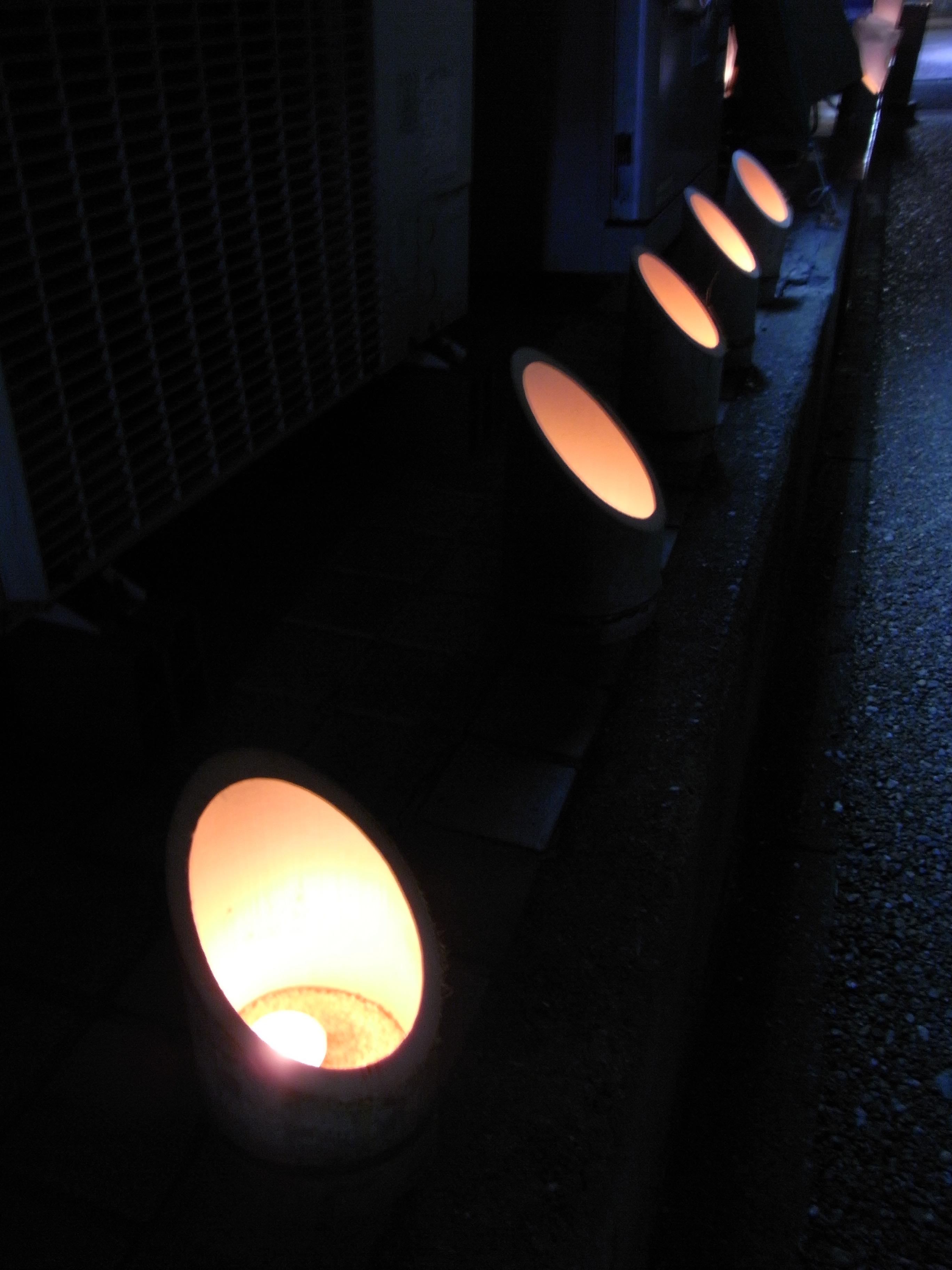 http://gokusho.info/blog/jasmin/RIMG0134.JPG