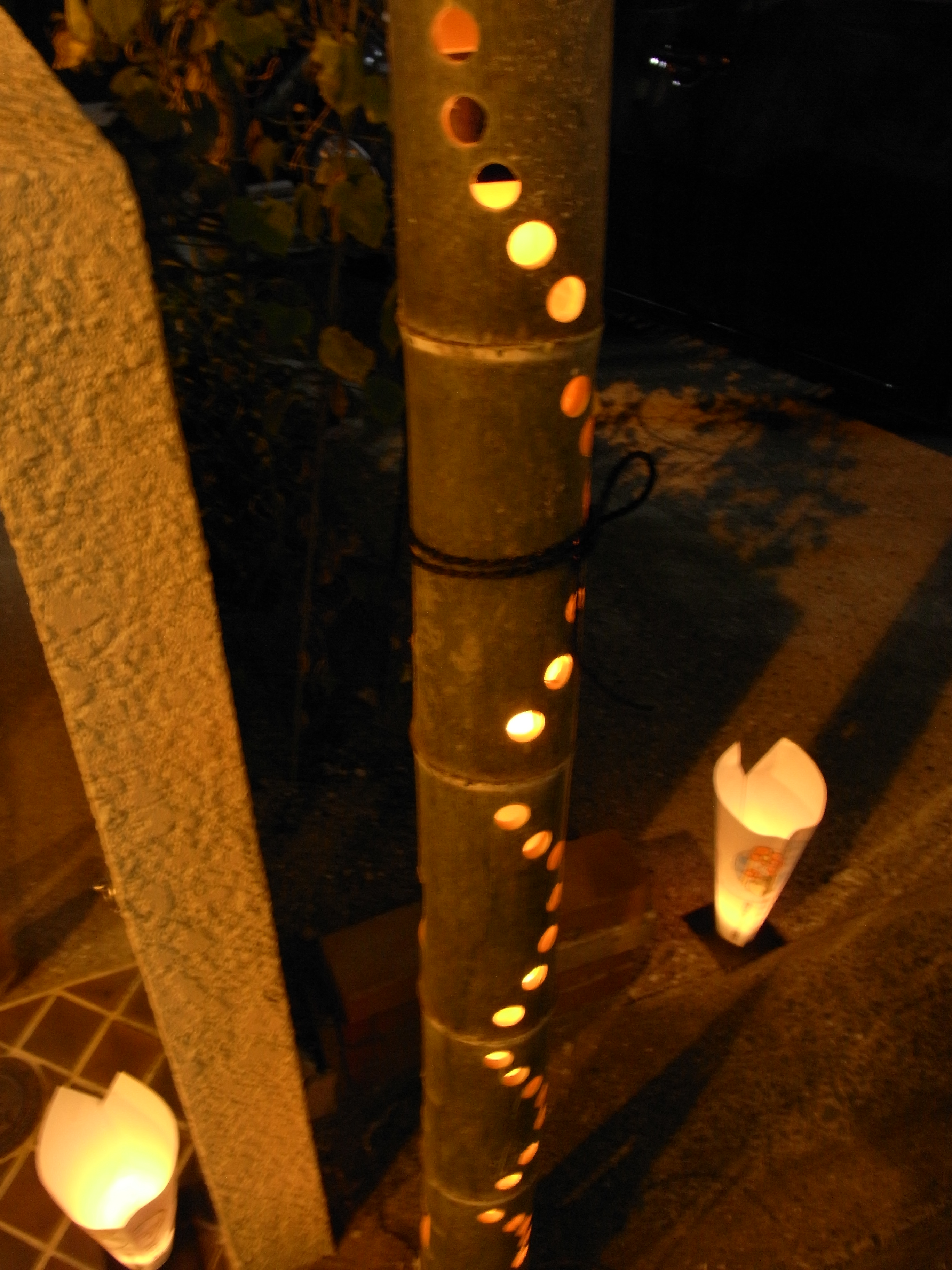 http://gokusho.info/blog/jasmin/RIMG0144.JPG