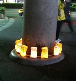 17.JPG