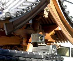 CIMG6329_1.JPG