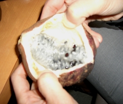 soba7.JPG