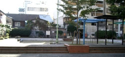 y19.JPG