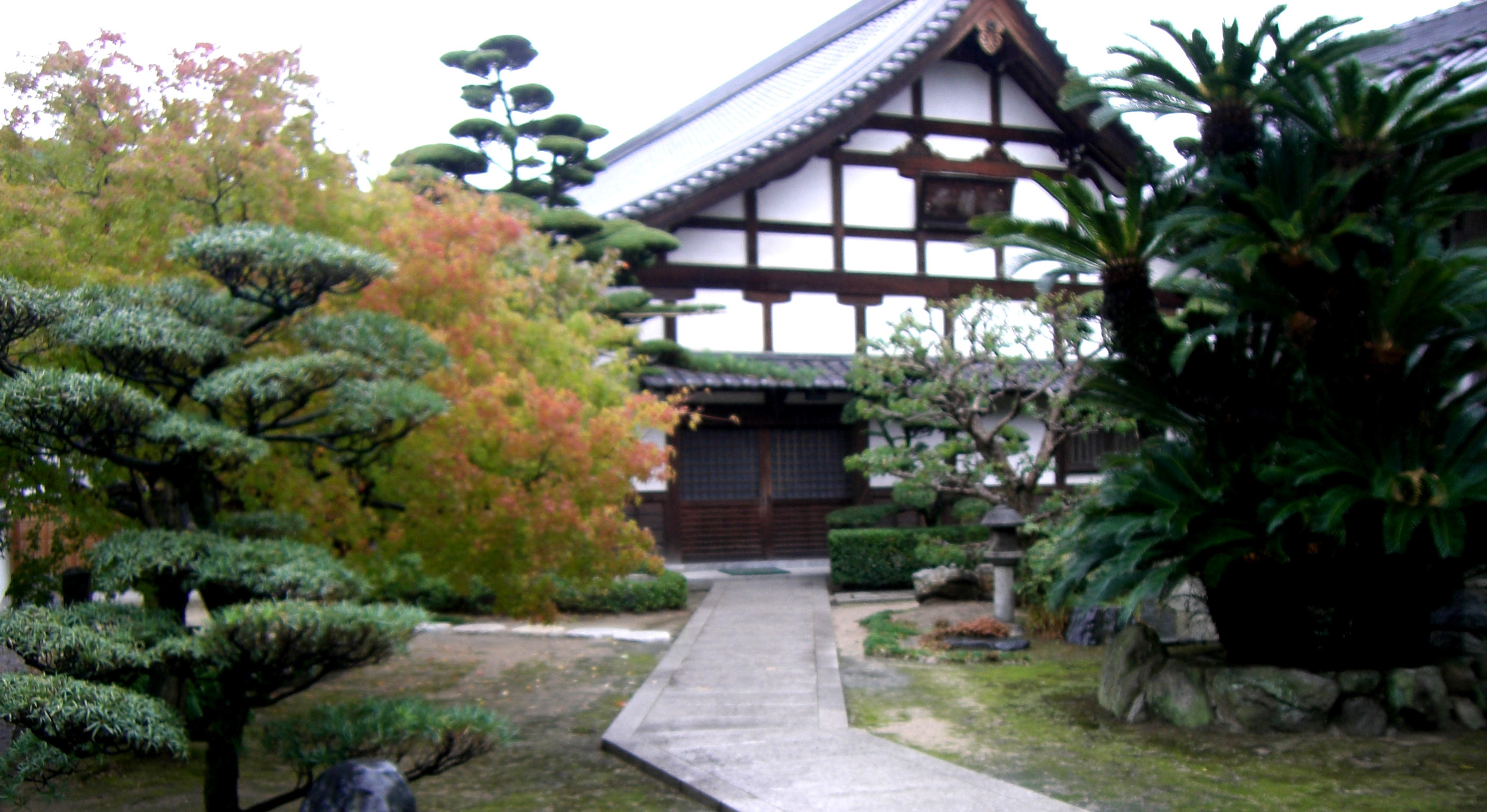 http://gokusho.info/blog/jasmin/gojuan.JPG