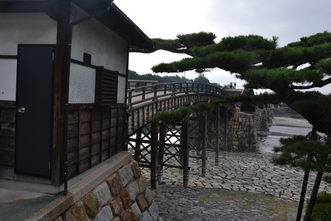 DSC_0907.JPG