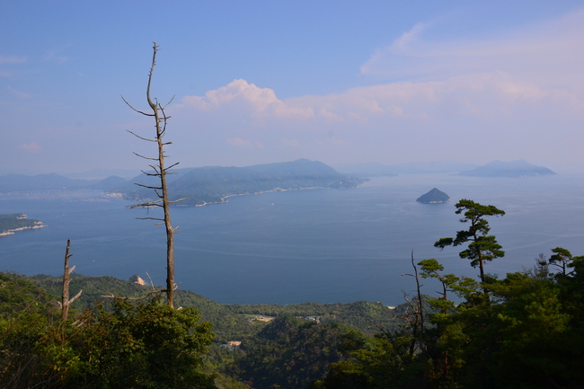 DSC_1167.JPG