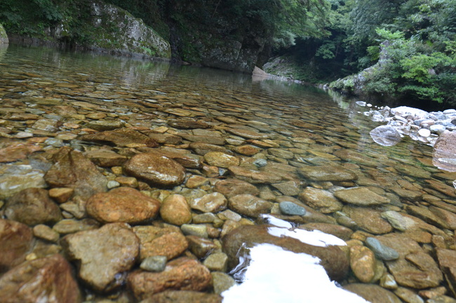 DSC_1479.JPG