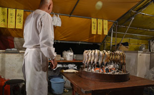 fish5.jpg