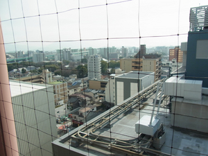 110221-daimaru-4.jpg