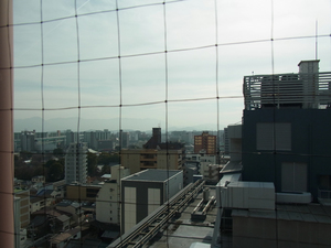 110221-daimaru-5.jpg