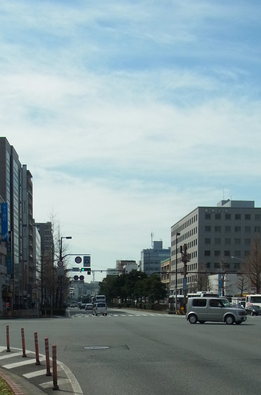 蔵本交差点から昭和通りを望む