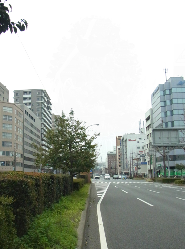 綱場町辺りの昭和通り